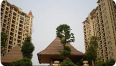 �Ϸ�������·��������Ŀ